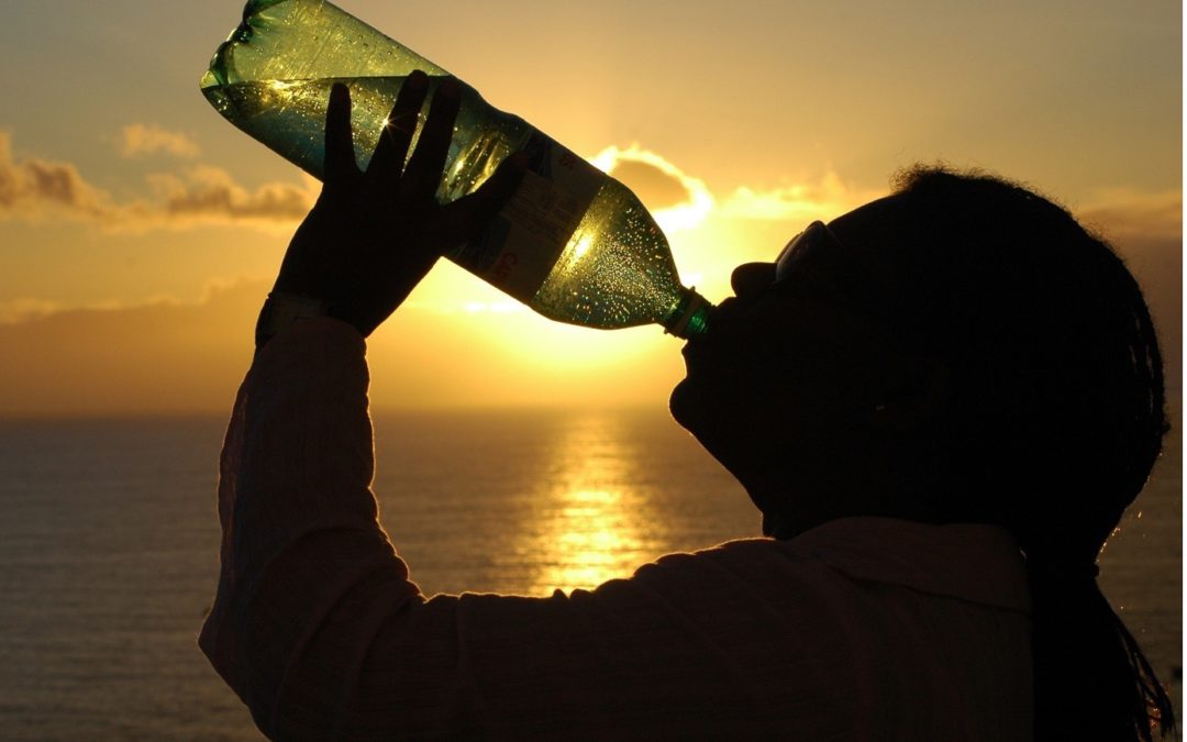 Voice-Care Wellness für die Stimme